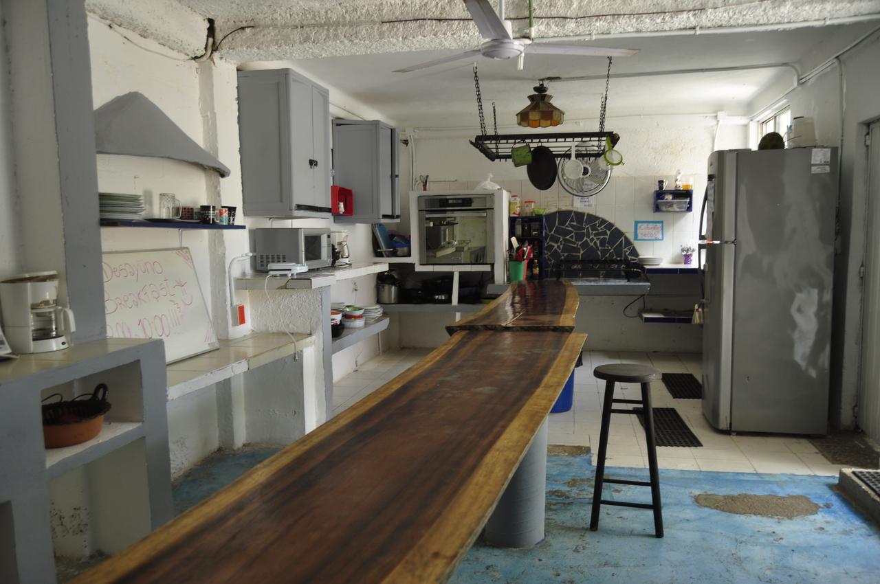 Lobo Inn Tulum Τουλούμ Εξωτερικό φωτογραφία