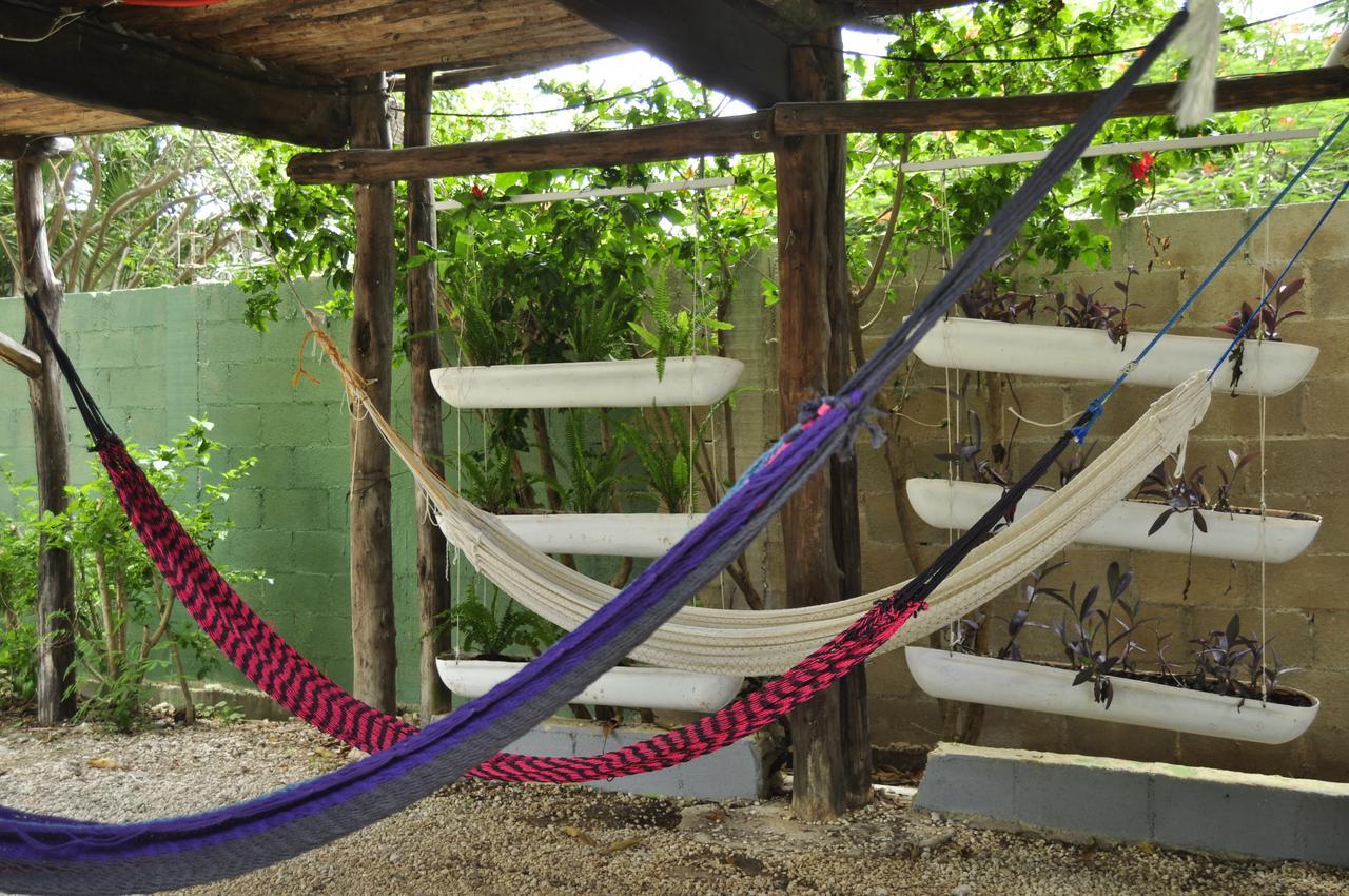 Lobo Inn Tulum Τουλούμ Εξωτερικό φωτογραφία
